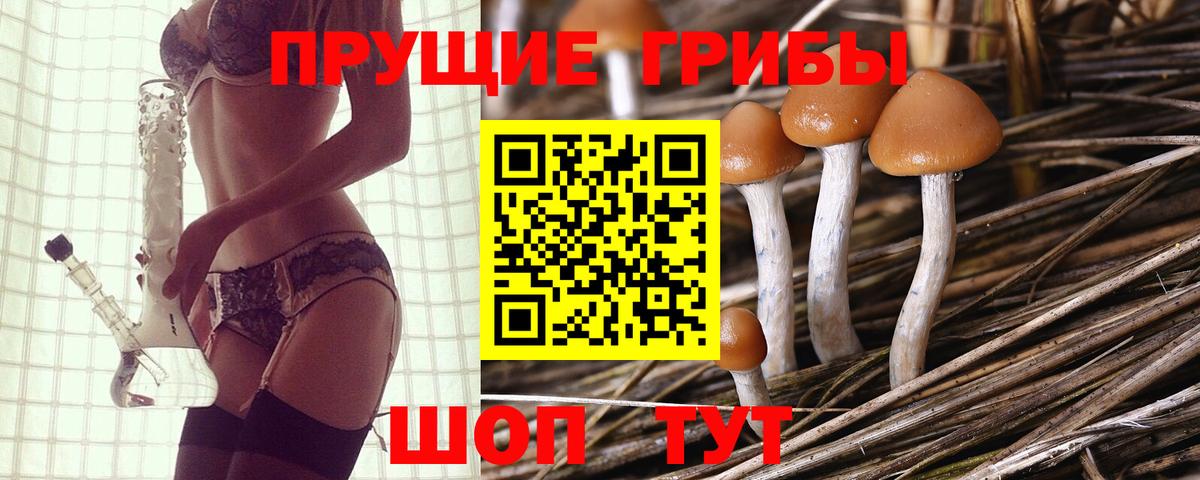 Псилоцибиновые грибы мухоморы  Галлюциногенные грибы GOLDEN TEACHER  Вход с VPN  Кировск 